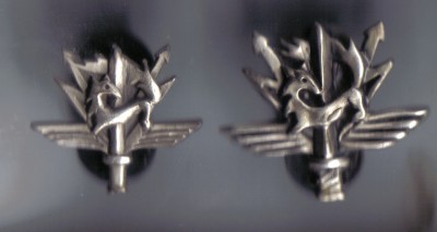 post-303-1161116476.jpg