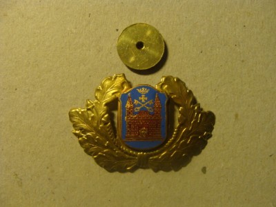 ЗНАЧКИ 3530.jpg