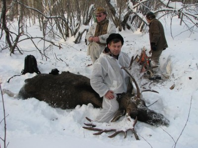 лосьIMG_5497.JPG