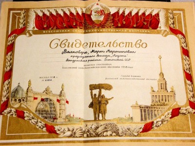 P1185133.JPG
