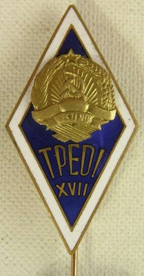 TPEDI  17.jpg