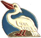 pelican.gif