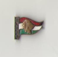 чл.знак Венгрия1.jpg