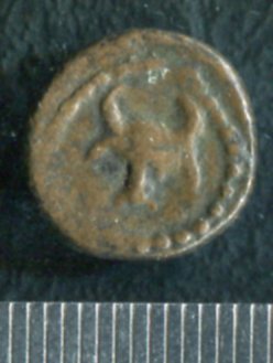img437.jpg