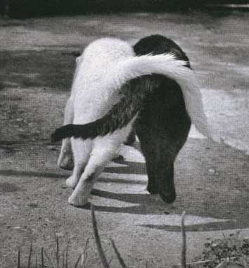 170.jpg