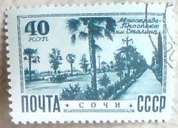 1460454434.jpg