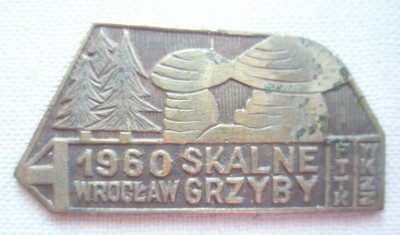 Скальные грибы.jpg