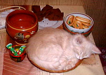 174.jpg