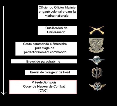 ORGANIGRAMME RECAPITULATIF DE LA FORMATION.jpg