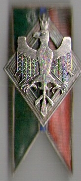 img005.jpg