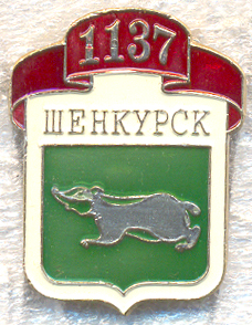 Шенкурск.jpg