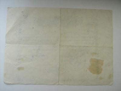1556194117_1.jpg