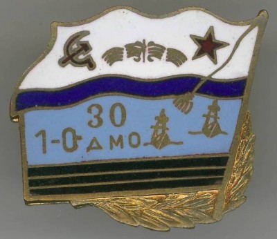 30 лет ДМО.JPG