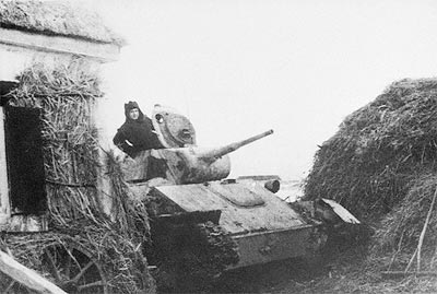 35733989_1227520118_tank.jpg