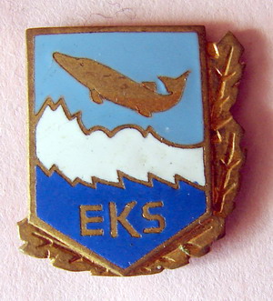 eks.jpg