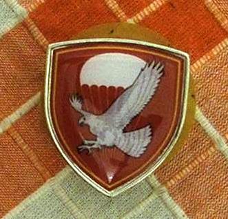 Serbia SF bde badge.JPG