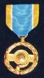 Public service.Медаль за общественные заслуги.Учреждена в 1963 г.Награждаются негосударственные служащие,внесшие вклад в программы NASA.