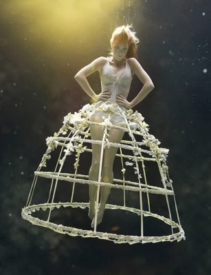 copyright_zholloway_cage1.jpg