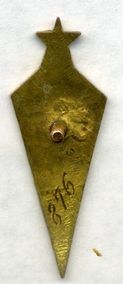 img459.jpg
