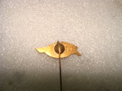 кристины 2011 19 06 1024.jpg