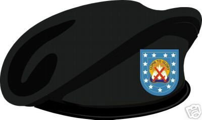 10th mountainberet.jpg
