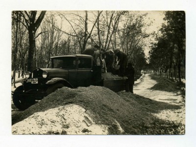 Мелитополь - Фото - 015-001-0 - Строительство железной дороги в городском парке, 1936 год.jpg