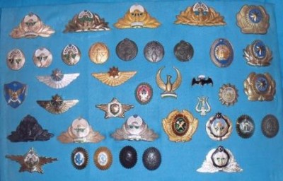 SDC11296.JPG