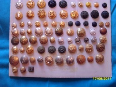 SDC11310.JPG