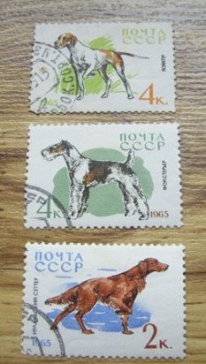 Изображение 1458.jpg
