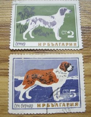 Изображение 1460.jpg