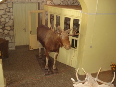Kazdanga 023.jpg