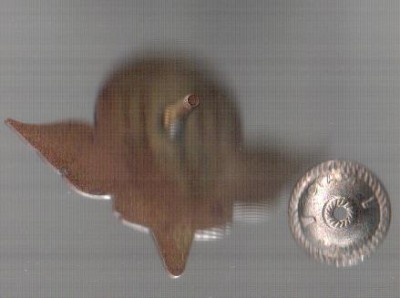1804559830_1.jpg