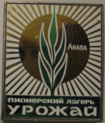 IMG_6979.jpg