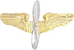 Air Force Aviation Cadet Wings Military.jpg