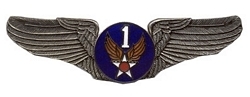 1ST AIR CORPS FORCE USAF BIG PEWTER.jpg