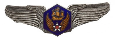 6TH AIR CORPS FORCE USAF BIG PEWTER.jpg