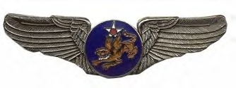 14TH AIR CORPS FORCE USAF BIG PEWTER.jpg
