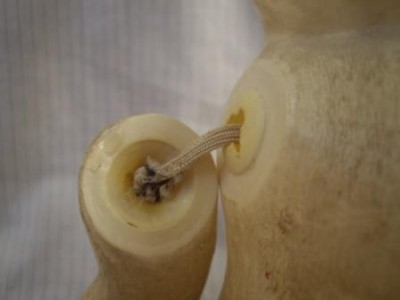 Лапа правая.JPG