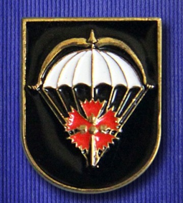 Spetsnaz_Pskov_04 Medium Web view.jpg