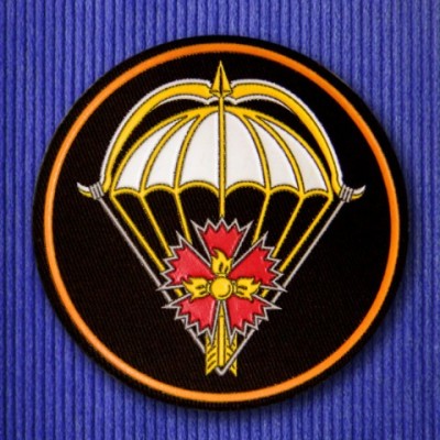 Spetsnaz_Pskov_shevron Medium Web view.jpg