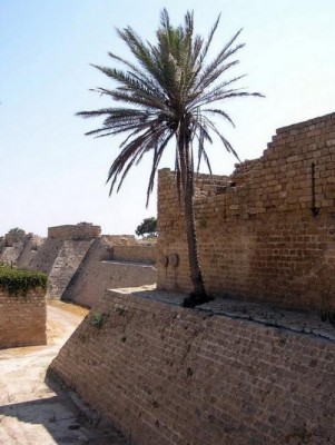 Israel-Keisaria-1610.jpg