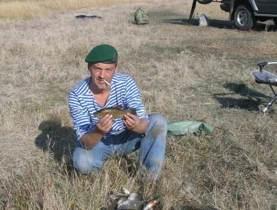 Д3.JPG