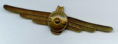 img331.jpg