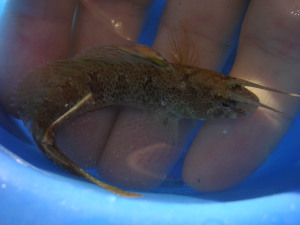 DSCN5259.JPG