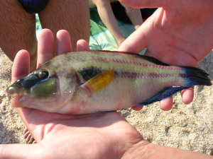 DSCN5279.JPG