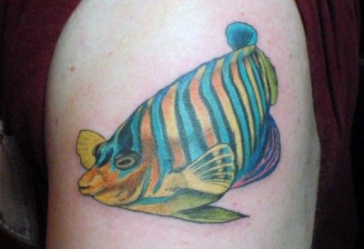 regal-angelfish-tattoo.jpg