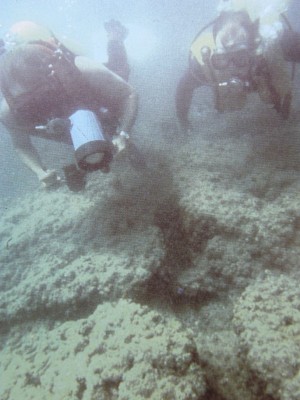 PA250029.jpg