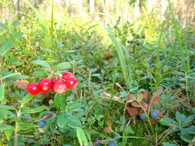 DSC09298.JPG