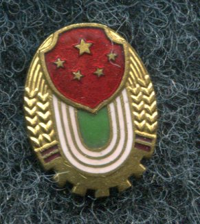img110.jpg