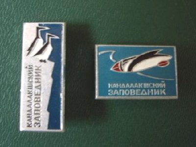 -п.JPG (49.17 КБ) 4652 просмотра -п.JPG